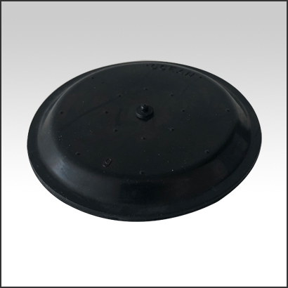 Curabitur Ullamcorper