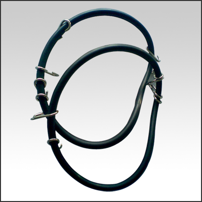 Curabitur Ullamcorper