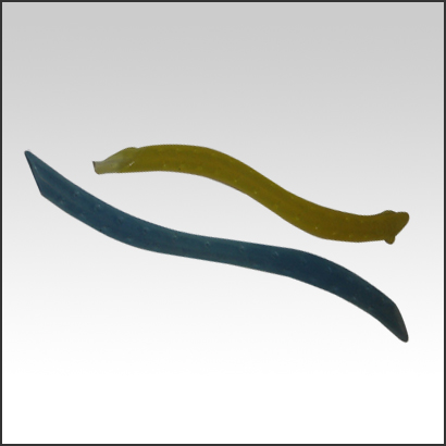 Curabitur Ullamcorper